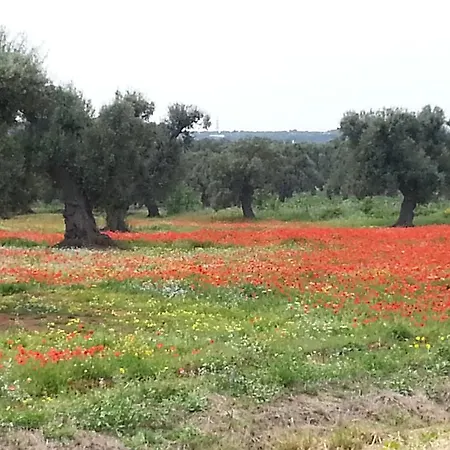 Hébergement de vacances Trullo Gabry Ostuni